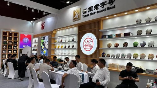 廣州秋季茶博會(huì)首日盛況 云南云墾茶業(yè)展位人氣爆棚，展覽服務(wù)亮點(diǎn)紛呈